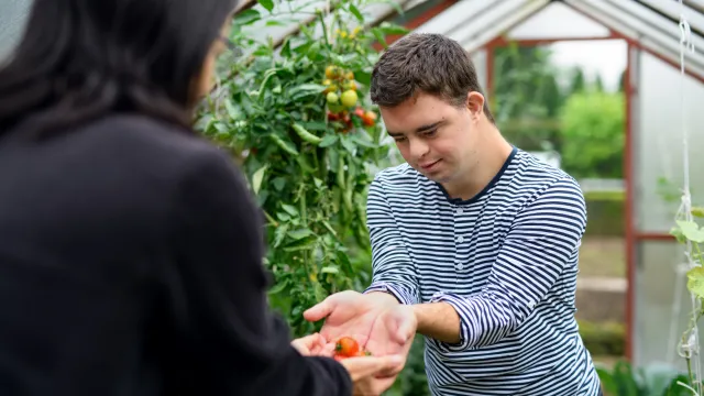 LSS_greenhouse carehome.jpg